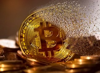 Criptomoneda vs. Actiuni: Care investitie este cea mai buna pentru tine?