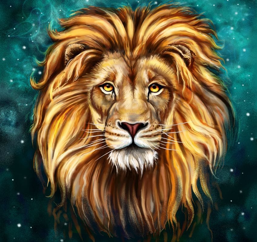 Forme personalizate de pictura