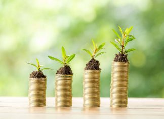 Care sunt diferitele tipuri de investitii? Afla acum